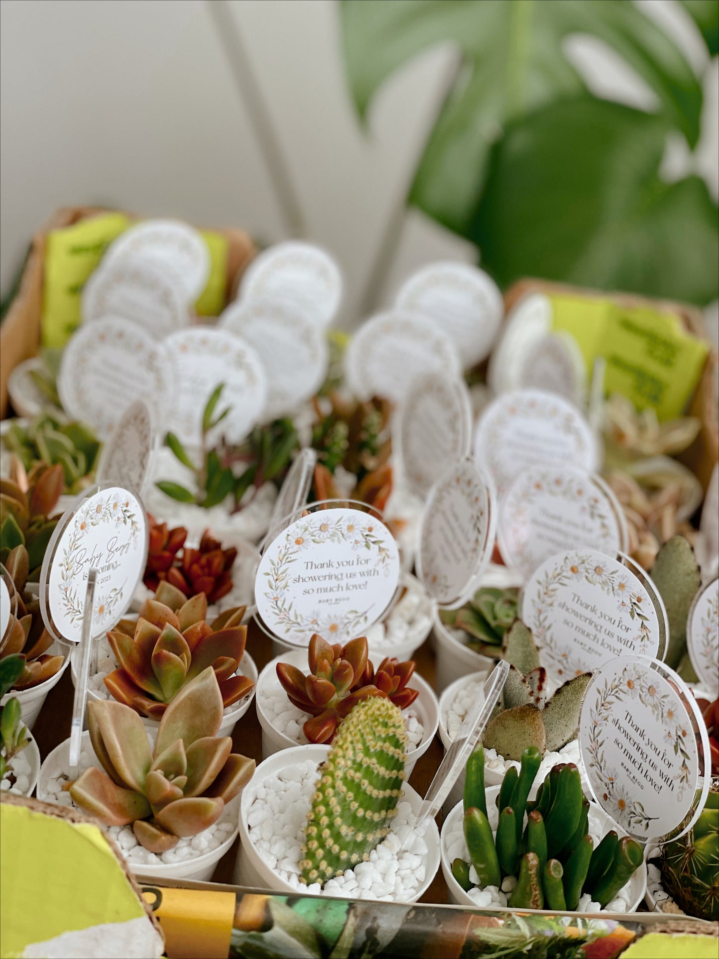 Sticker Sheets Per Sheet
